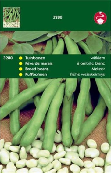 Puffbohne Fruhe Weisskiemige (Vicia faba) 100 Samen